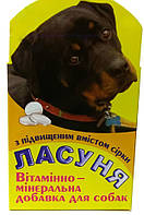 "Ласуня Сера" - витаминно-минеральная добавка для собак (100 табл.), Норис