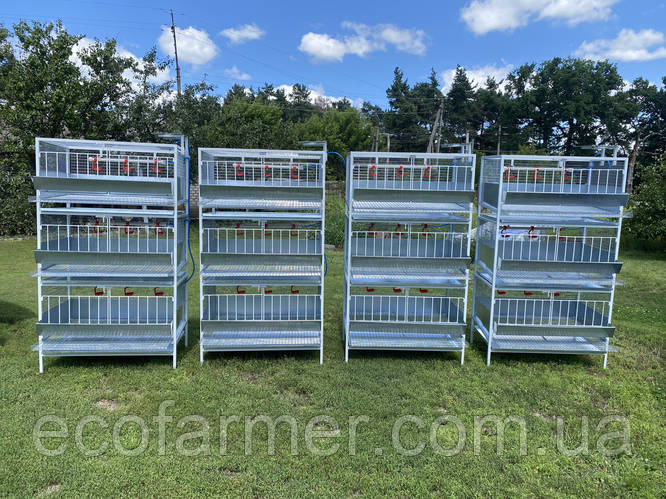 Клетка для содержания бройлеров КБ-30 (ID#1974617040), цена: 10200 ...
