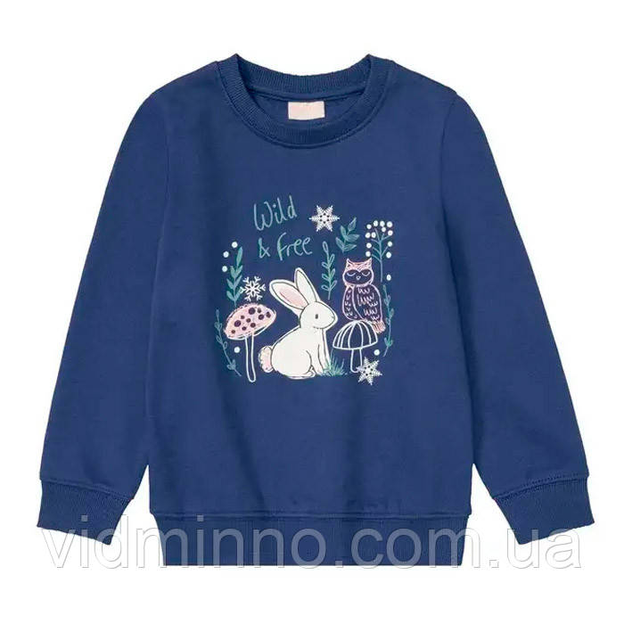 Утеплений джемпер світшот на флісі Lupilu дівчинки р.98-104 - 2-4 роки, фото 1