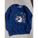 Утеплений джемпер світшот на флісі Lupilu дівчинки р.98-104 - 2-4 роки, фото 2