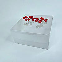 Коробка для бенто-торта та десертов, 200*200*100 мм, с прозрачной кришкой, белая