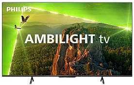 Телевізор Philips 43PUS8118/12