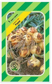 Цибуля озима Радар 1 г