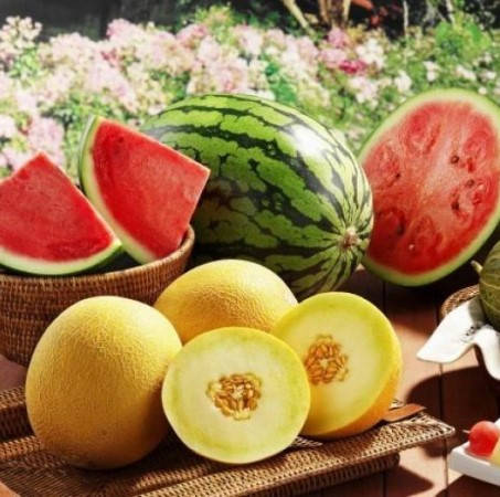 Насіння дині та кавунів