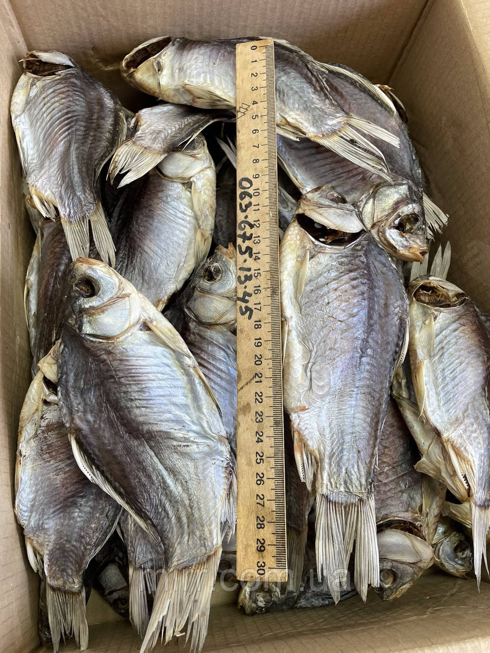 Карась в'яленні - фото 1 - id-p1974810050