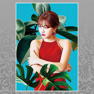 Плакат А3 K-Pop Twice 008