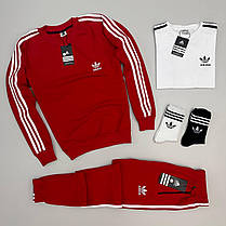 Чоловічий спортивний костюм 4 в 1 Adidas світшот штани штани футболка шкарпетки чорний з лампасами весна-осінь, фото 6
