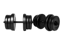 Разборные гантели 2 по 20 кг (Наборные, покрытие пластиком, битумные, гантели для дома) WCG