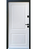 Вхідні двері Straj серія Dream Optima, фото 2
