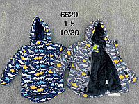 Куртки (зима) утепленные детские для мальчиков F&D, 1-5 лет.оптом 6620