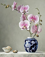 40х50 см, на підрамнику