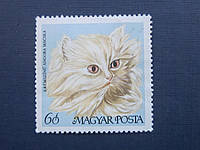 Марка Угорщина 1968 фауна коти кішки ангорська не гаш