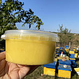 Крем мед  КУМКВАТ (цитрус) 0,5 л (650 грам), фото 4