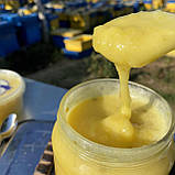 Крем мед  КУМКВАТ (цитрус) 0,5 л (650 грам), фото 3