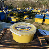 Крем мед Кумкват (цитрус) 0,5 л (650 грам), фото 2