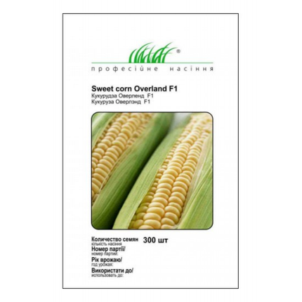 Насіння кукурудзи Спірит F1, 300 насіння — рання (73 дні), солодка Syngenta, фото 2