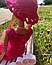 Одяг для Барбі. Коктельна сукня ручної роботи зі шляпкою., фото 3