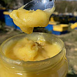 Крем-мед Манго 0,1 л (120 грам), фото 4
