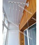 Сушка настінно-стельова Floris (Флоріс) 2 м; 1,8 м; 1,6 м; 1,4 м; 1,2 м. Сушарка Флоріс., фото 2