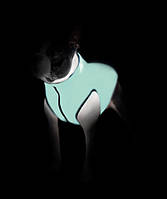 2258 Collar AiryVest Lumi Куртка светится в темноте, M/45 см