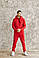 Чоловічий червоний теплий спортивний костюм, фото 5