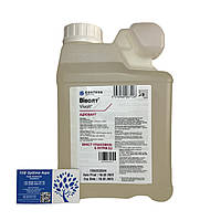 Прилипач Віволт