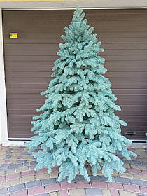 Лита ялинка Ковалівська 2.10 м. блакитна