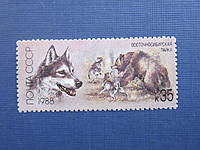 Марка СССР 1988 фауна собака восточносибирская лайка медведь MNH