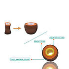 ⇒ Амбушюри мандаринки, силікон + піна для навушників KZ TRN TFZ KBEAR FiiO BGVP Sony, фото 7