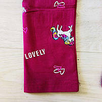 Лосини для дівчат оптом, Taurus, 98-128 см,  № XH-88, фото 9