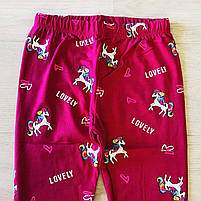 Лосини для дівчат оптом, Taurus, 98-128 см,  № XH-88, фото 6