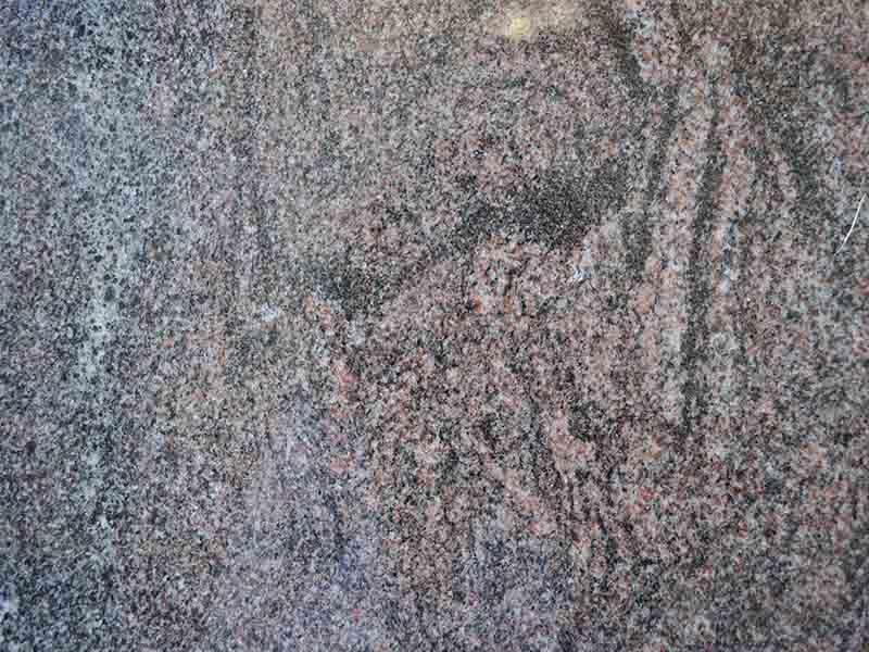 Граніт Paradisso