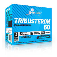 Трибулус Бустер тестостерона Olimp Tribusteron 60 120 капс Vitaminka