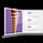 Струни для акустичної гітари D'ADDARIO XSAPB1152 XS PHOSPHOR BRONZE CUSTOM LIGHT (11-52), фото 5