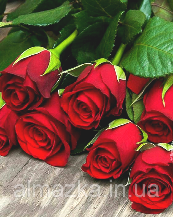 40*50см НА підрамнику "Червоні троянди", ТМ АлМазка - Алмазна мозаїка