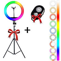 Светодиодная кольцевая лампа RGB MJ 300 Soft Ring Light 30 см + Подарок Штатив складной 0,66-2 м + Селфи пульт