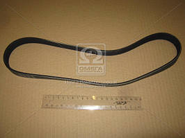 Реминь поликлиновий (Вир-во DAYCO) 6PK872 UA58