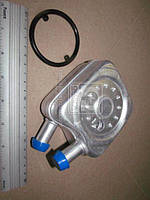 Радиатор масляний AUDI 100 90- (вир-во NRF) 31304 UA58