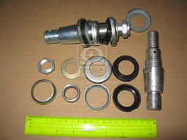 Р/К Набир пальцив гидроцилиндра Ц50 МТЗ (Р/К 491) (вир-во РЗТ м.Ромни) 102-3405103 UA58