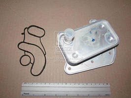 Радиатор масляний MERCEDES C200 00- (вир-во NRF) 31183 UA58