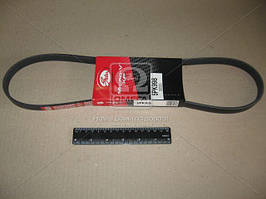 Реминь поликлин. 5PK998 (Вир-во Gates) 5PK998 UA58