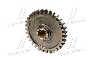 Шестерня задн. ходу промижна КПП МТЗ (Z = 31) (RIDER) 70-1701082 UA58