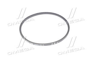 Реминь 11х10х900 Газель (вир-во Rubena) 11х10-900 UA58