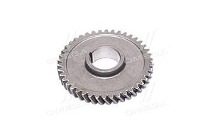 Шестерня приводу масляного насоса Д 240, 243, 245 Z=42 (вир-во Украйна) 240-1005033-01 UA58