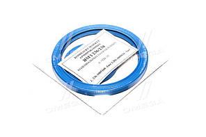 Комплект манжет ЯМЗ 236/238 армовани (вир-во Сервис-Комплектация) 236-1002300 UA58