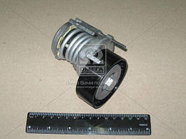 Планка натяжна VW (Вир-во Ina) 534 0123 20 UA58