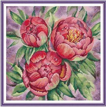 Набір для вишивання за нанесеною на канву схемою "Peony". AIDA 14CT printed 37*37 см