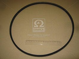 Реминь A 1250 (вир-во Rubena) A 1250 UA58