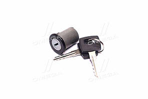 Личинка замку дверей з 2 ключами MAN F2000 94-/F90 (DECARO) DC 02.87.53 UA58