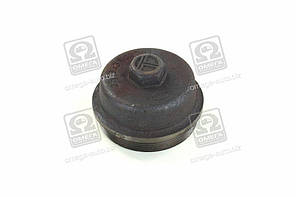 Ковпак маточини Еталон, ТАТА Е1-Е3 передньой (RIDER) RD264133403704 UA58